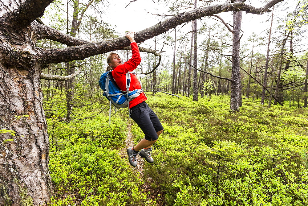 young woman doing pull-ups in a moorland forest, Berg, Upper Bavaria, Germany