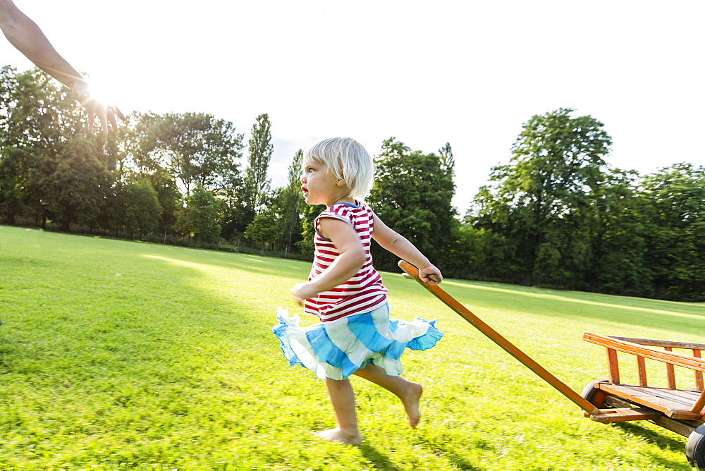 young father and his two-year-old daughter pulling a wagon over a meadow, Speyer, Rheinland-Pfalz, Germany