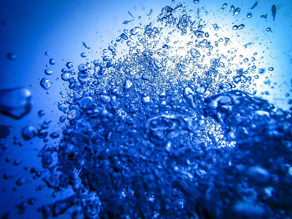 Air bubbles rising to the surface when diving, Bali, Indonesia