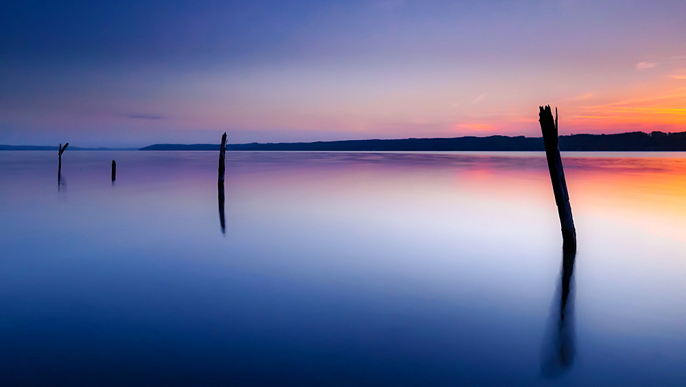 Deadwood at sunrise in Lake Starnberg, Bavaria, Germany