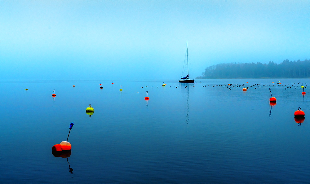 Buoy field on Lake Starnberg in winter, Tutzing, Bavaria, Germany