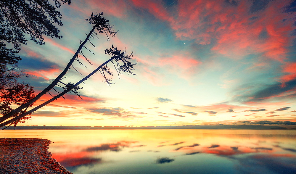 Sunrise with tree silhouettes on Lake Starnberg, Brahmspromenade, Tutzing, Bavaria, Germany