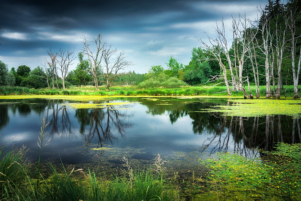 Thunderstorm mood at a fish pond, Andechs, Bavaria, Germany