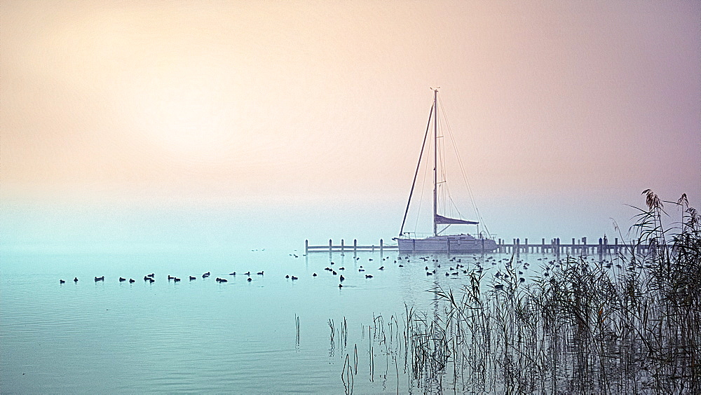 Boat in abandoned marina in foggy autumn mood, Seeshaupt, Bavaria, Germany