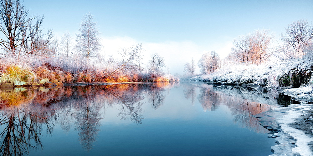 Hoarfrost on reeds and trees on the side of the Loisach bank, Bavaria, Germany