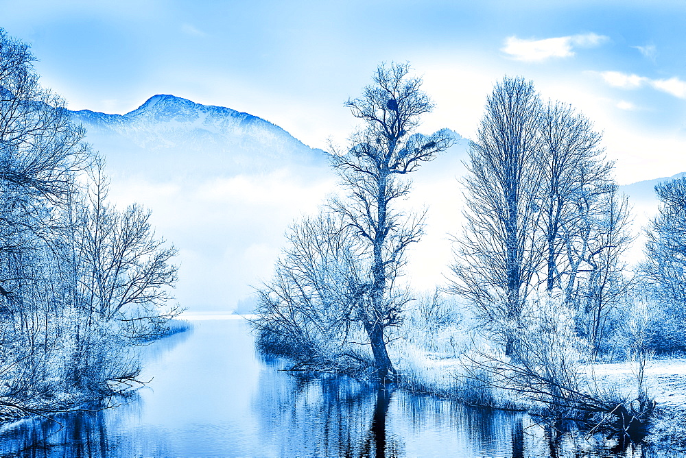 View of the Loisach in winter with frosted trees, Bavaria, Germany