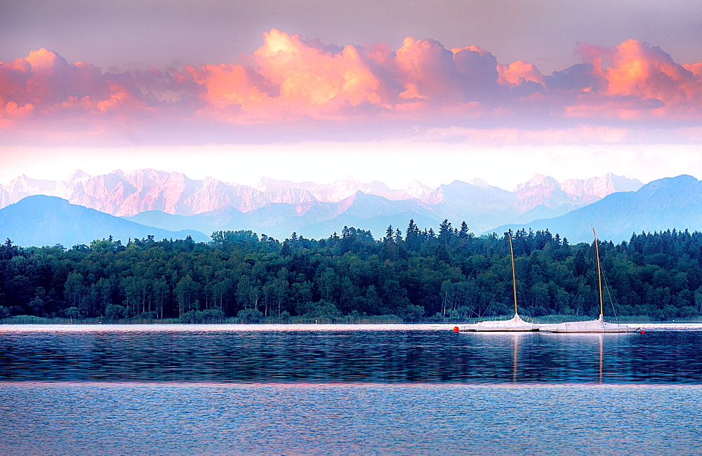 Reeds at sunrise on Lake Starnberg, Bavaria, Germany