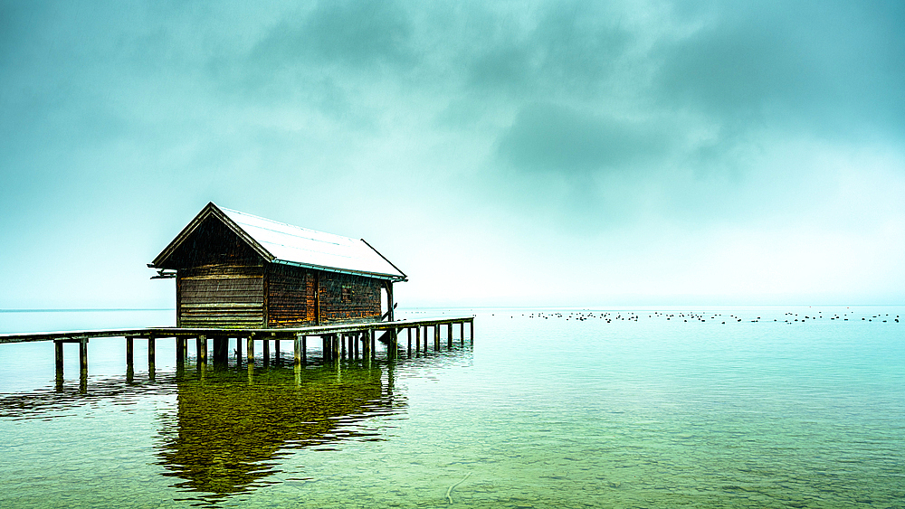 Snow-covered boat hut with jetty in the fog on Lake Starnberg, Tutzing, Bavaria, Germany