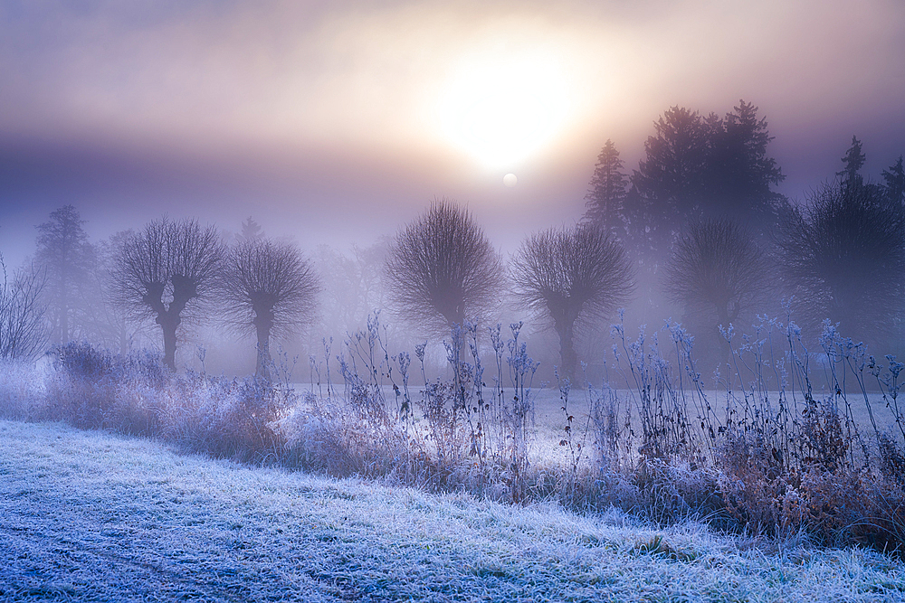 Morning mist on a frosty autumn day, Tutzing, Bavaria, Germany