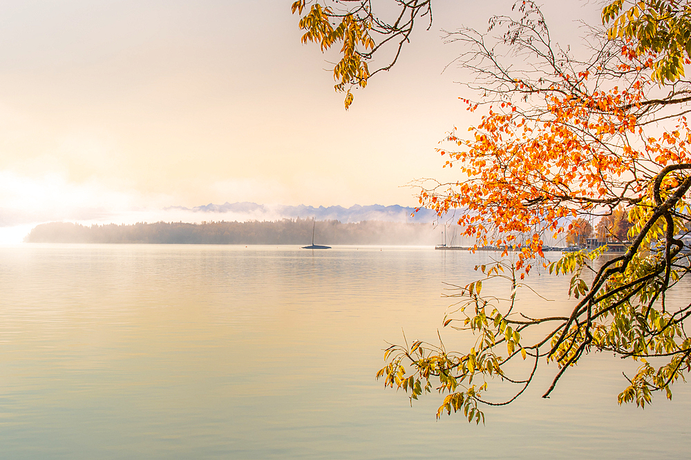 Autumn colors at Lake Starnberg, Tutzing, Bavaria, Germany