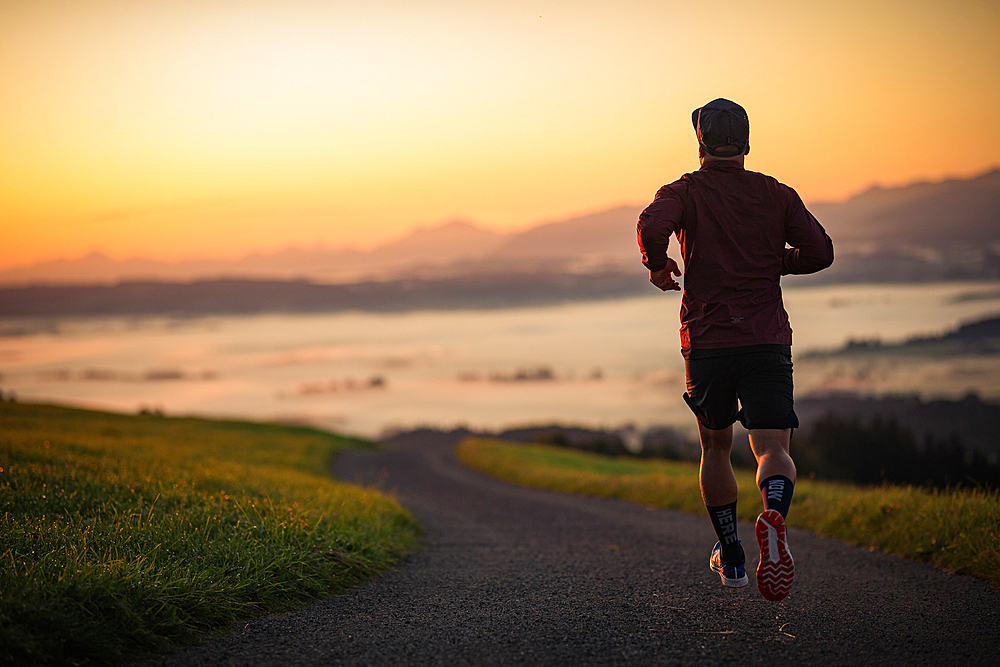 Runners on an empty path in the morning hours, running, sports, general