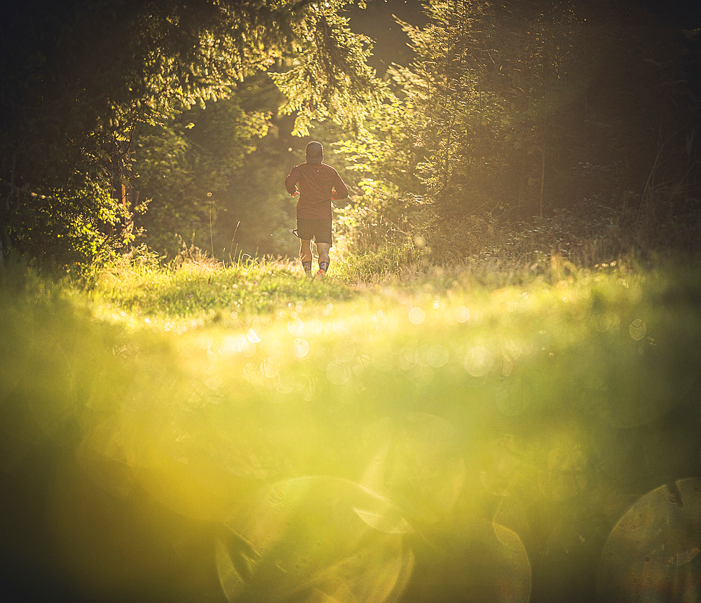 Runners on an empty path in the morning hours, running, sports, general