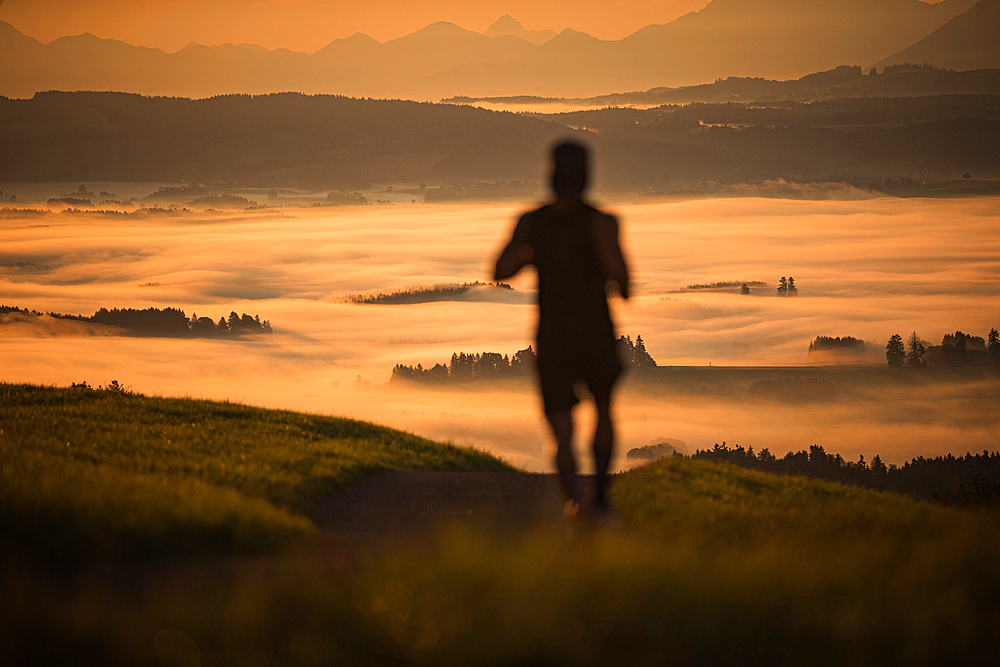 Runners on an empty path in the morning hours, running, sports, general