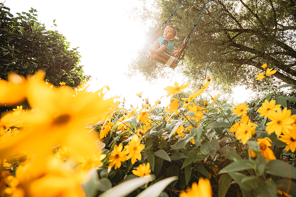 Little boy swings in the garden, yellow flowers, swings, joy, Allgäu, Bavaria