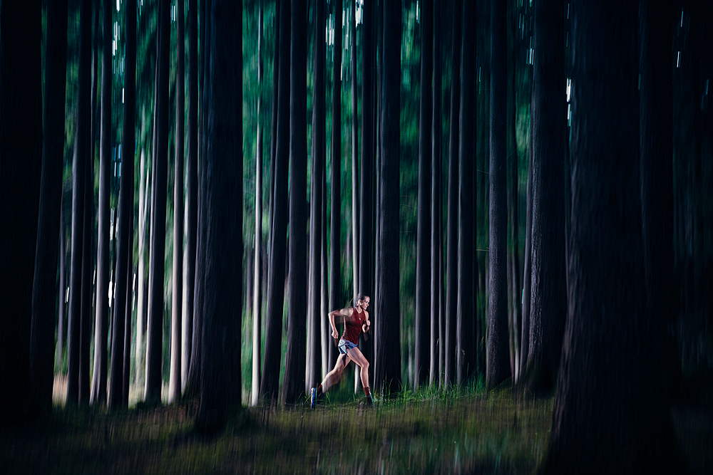 Runner runs through forest, running, sport, forest