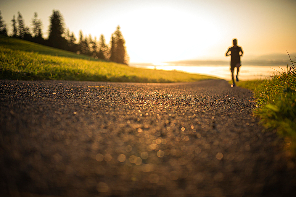 Runners on an empty path in the morning hours, running, sports, general