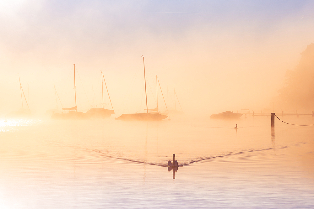 Fog at Lake Starnberg, Germany