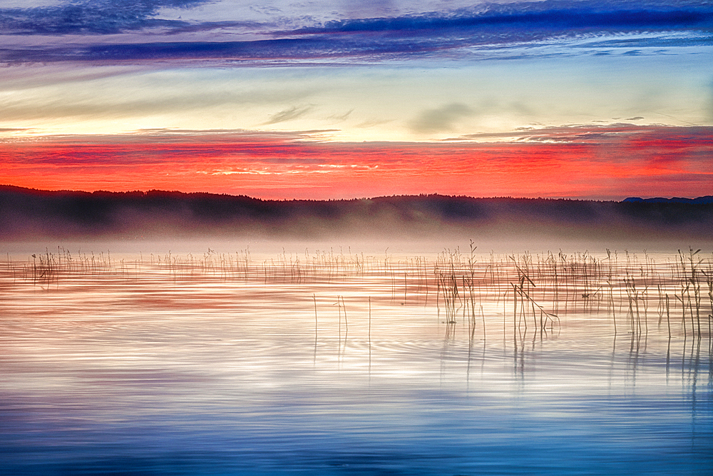 Autumn mood, fog at Lake Starnberg, Bernried, Germany