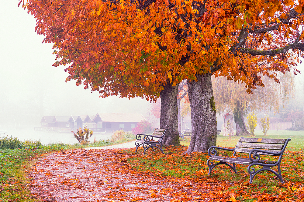 Brahmspromenade Tutzing, autumn mood, Germany