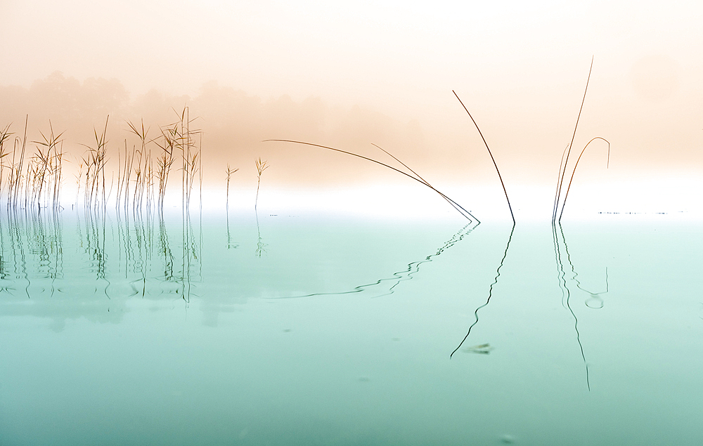 Zen am See, Ostersee, Iffeldorf, Germany