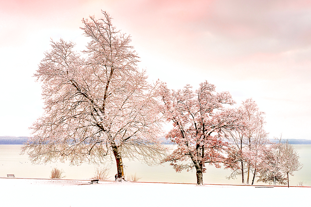 Winter morning at Lake Starnberg, Tutzing, Germany