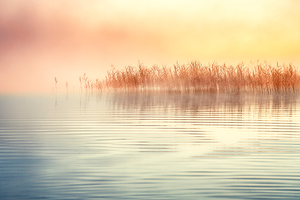 Fog at Lake Starnberg, Germany