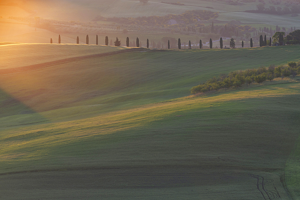 Landscape at sunrise around Pienza, Val d'Orcia, Orcia Valley, UNESCO World Heritage Site, Province of Siena, Tuscany, Italy, Europe