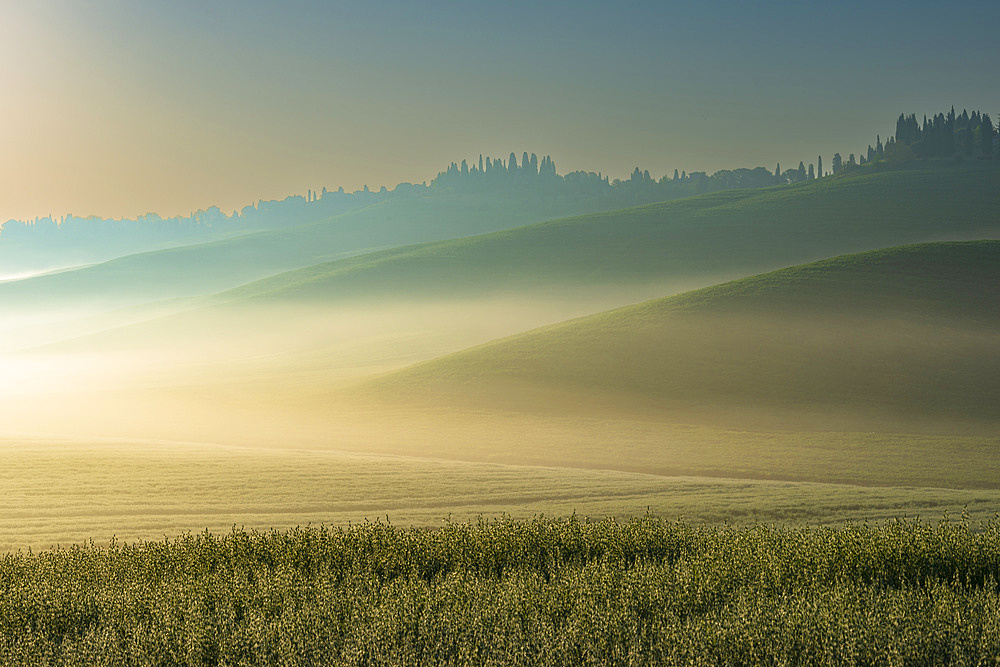 Sunrise in the Crete Senesi, Province of Siena, Tuscany, Italy, Europe