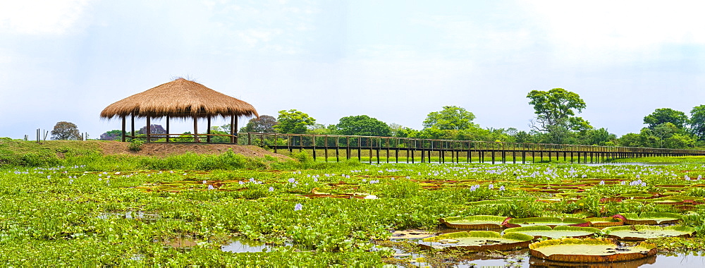 Hotel Porto Jofre, Pantanal, Brazil