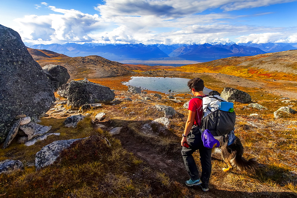 Woman backpacker and her dog backpacking on the Kesugi Ridge Trail in Denali State Park with views of Denali National Park and the Alaska Range in the background, Alaska, United States of America