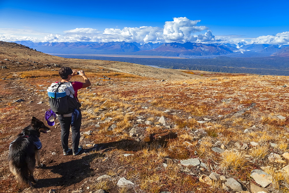 Woman backpacker and her dog pause to take a picture of the Alaska Range while hiking on the Kesugi Ridge Trail in Denali State Park, Alaska in the autumn, Alaska, United States of America