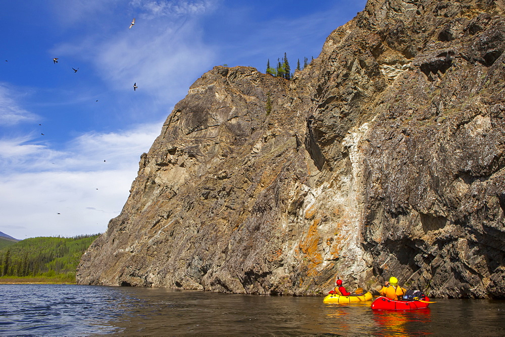 Two women packrafting down the Charley River watching and photographing the cliff swallows taking flight in summertime, Yukon–Charley Rivers National Preserve, Alaska, United States of America