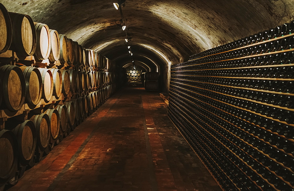 Wine cellar, Italy