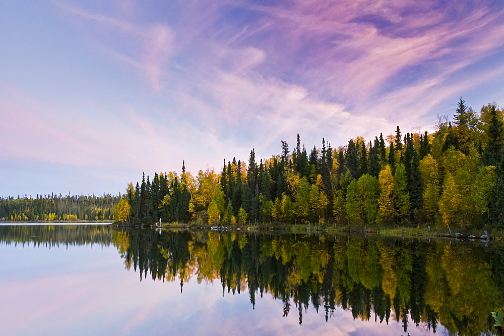 Autumn coloured foliage on the trees surrounding Dickens Lake at sunset, Saskatchewan, Canada