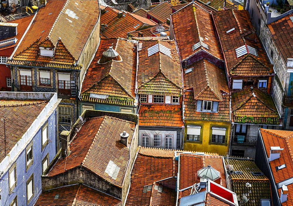 Rooftops of houses, Porto, Porto, Portugal