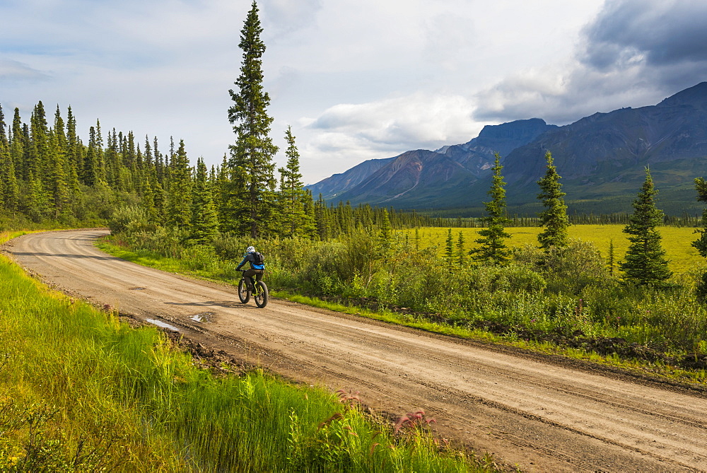 A man fat biking on the Nabesna Road in Wrangell-St. Elias National Park and Preserve on a cloudy summer day in South-central Alaska, Alaska, United States of America