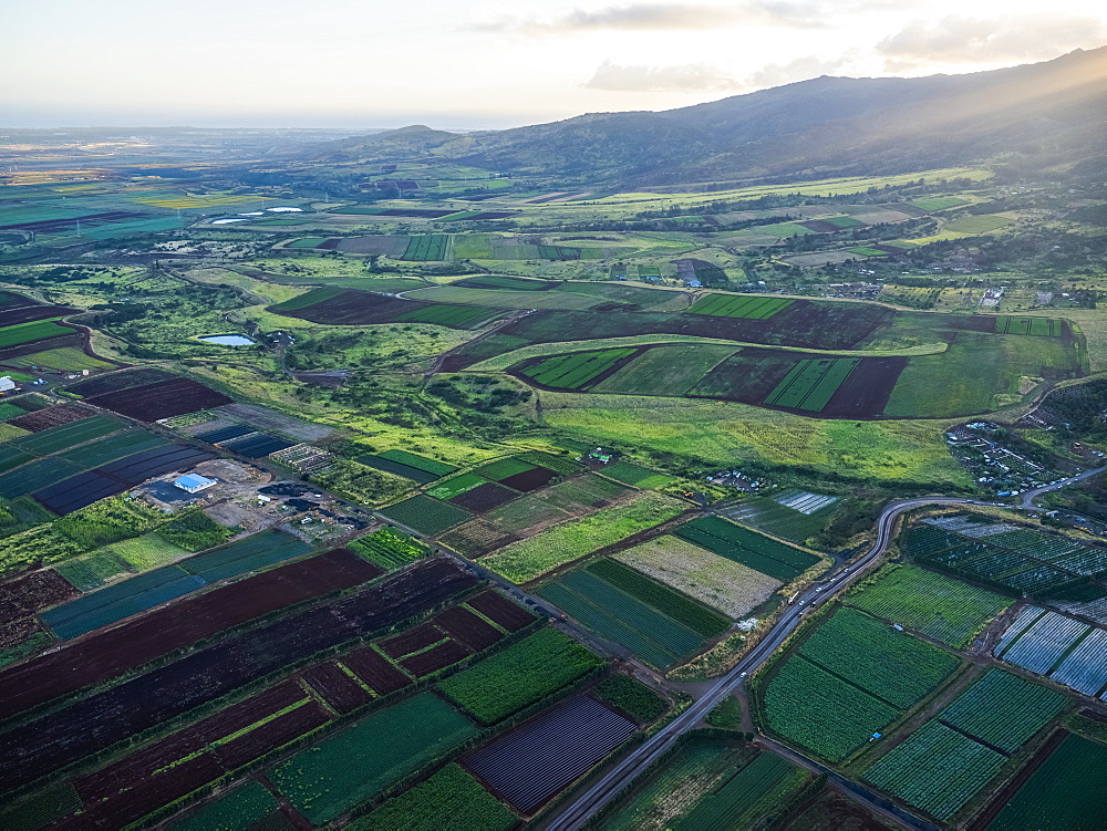 Aerial image of the agricultural land on the island of Oahu, Oahu, Hawaii, United States of America