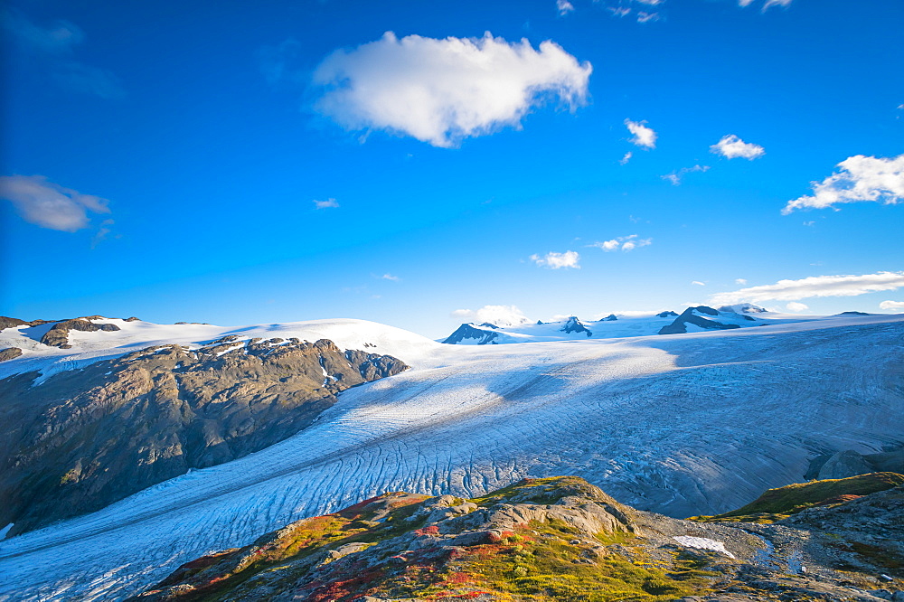 Kenai Fjords National Park and Exit Glacier on a mid-summer day as seen from the Harding Icefield Trail in South-central Alaska, Alaska, United States of America