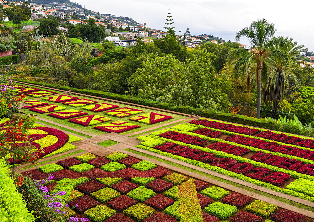 Formal flower beds in Madeira Botanical Gardens, Funchal, Madeira, Portugal