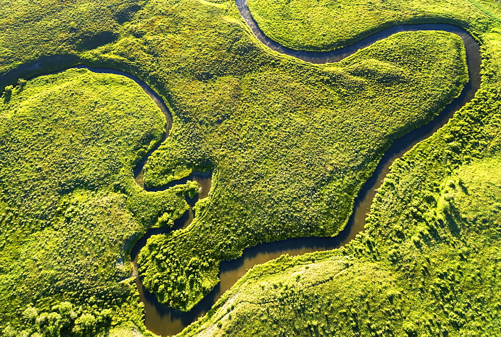 Aerial view looking straight down on a winding creek in a green field, near Millerville, Alberta, Canada