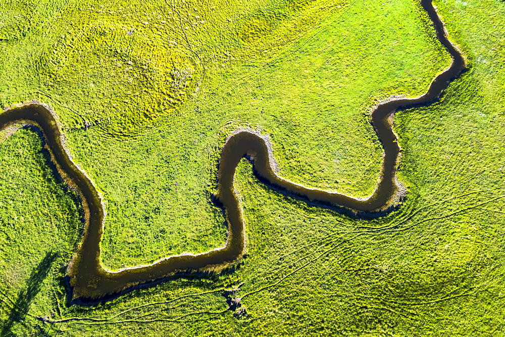 Aerial view looking straight down on a winding creek in a green field, near Millerville, Alberta, Canada