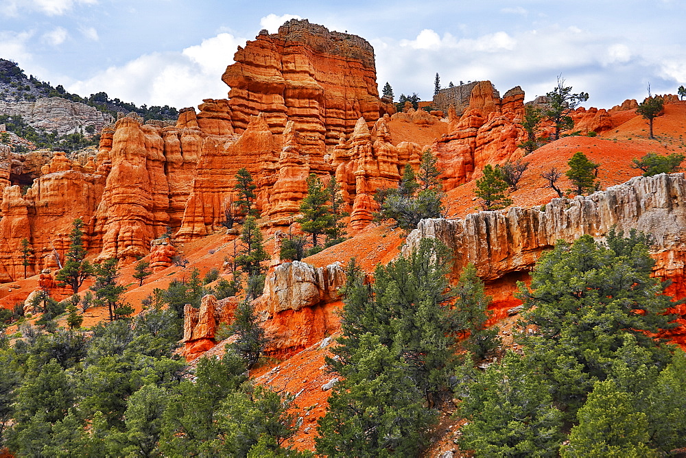 Bright red sandstone in Bryce Canyon National Park, Utah, United States of America