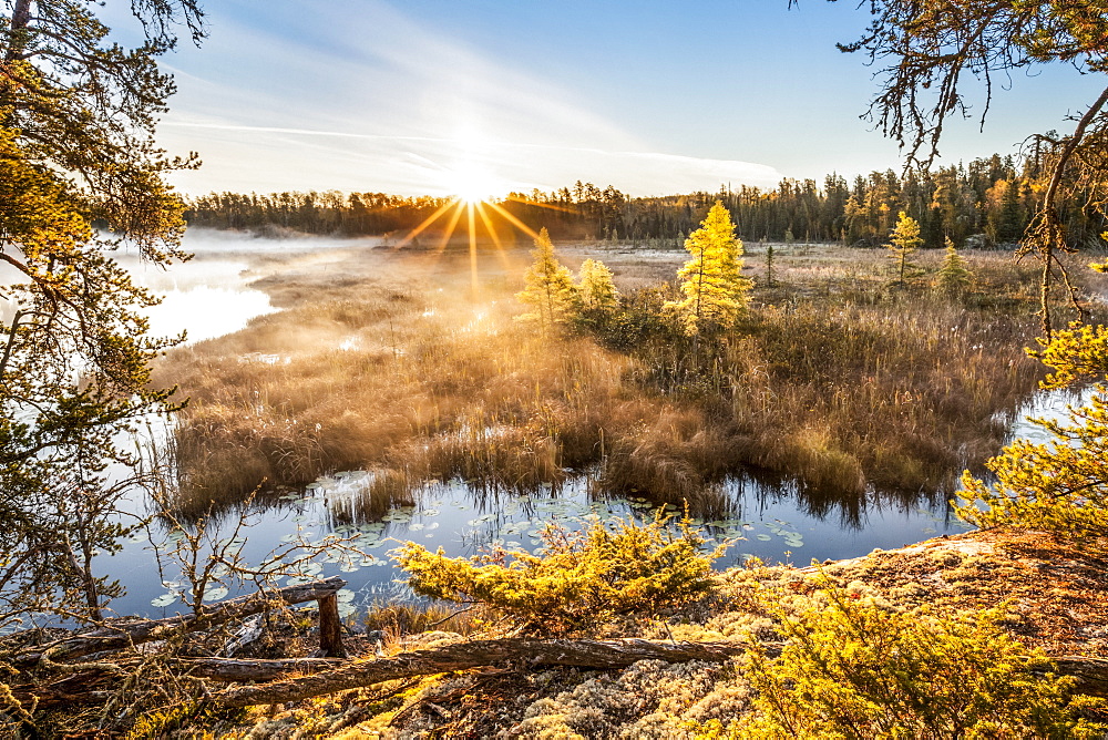 Sunrise over misty bog, Kenora, Ontario, Canada