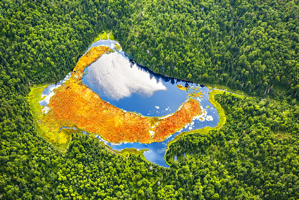 Aerial view of a pond in a dense forest, Thunder Bay, Ontario, Canada