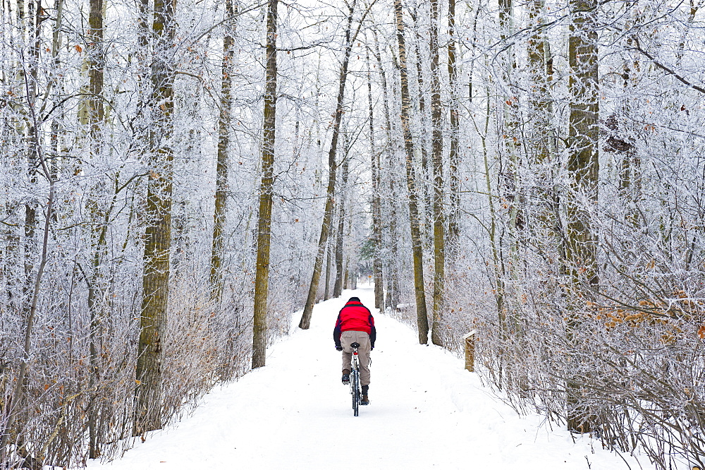 Mountain bike rider on a snowy winter trail ride, St. Albert, Alberta, Canada