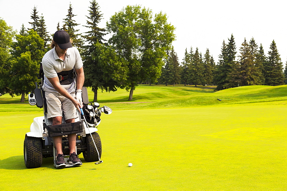 A physically disabled golfer putting a ball on a golf green and using a specialized golf assistance motorized hydraulic wheelchair, Edmonton, Alberta, Canada