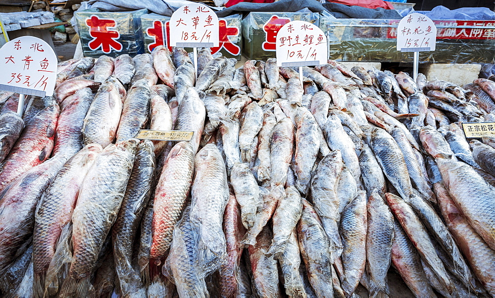 Fish for sale in a street market, Datong, China