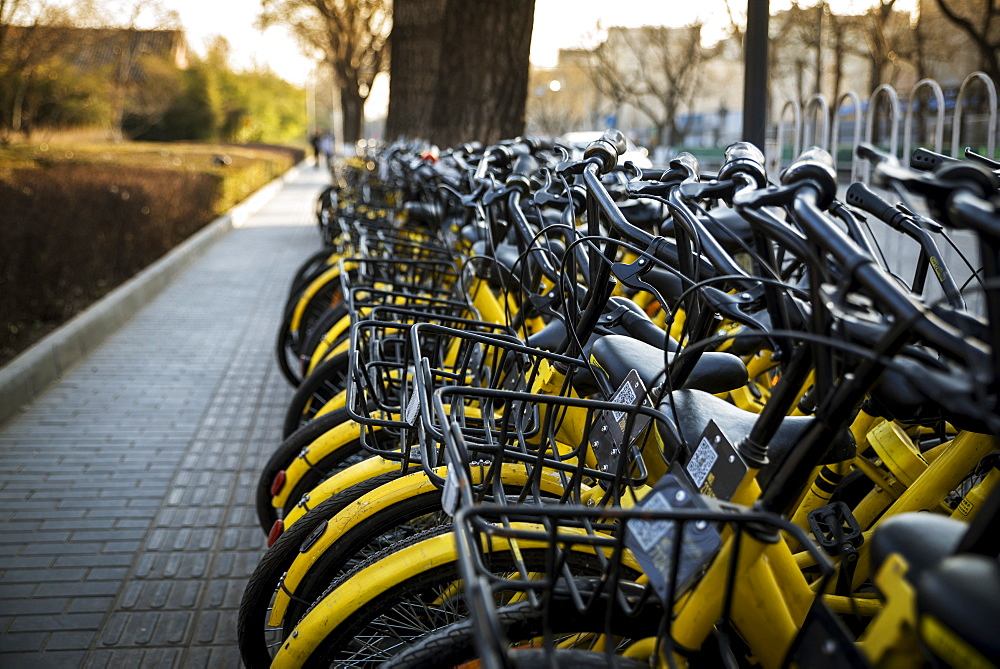 Row of bicycles for hire, Beijing, China