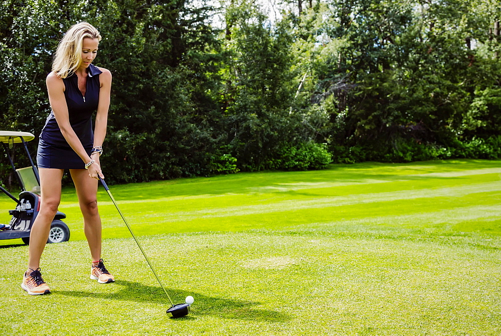 A female golfer lines up her driver to the golf ball as she sets up her shot on a tee, Edmonton, Alberta, Canada