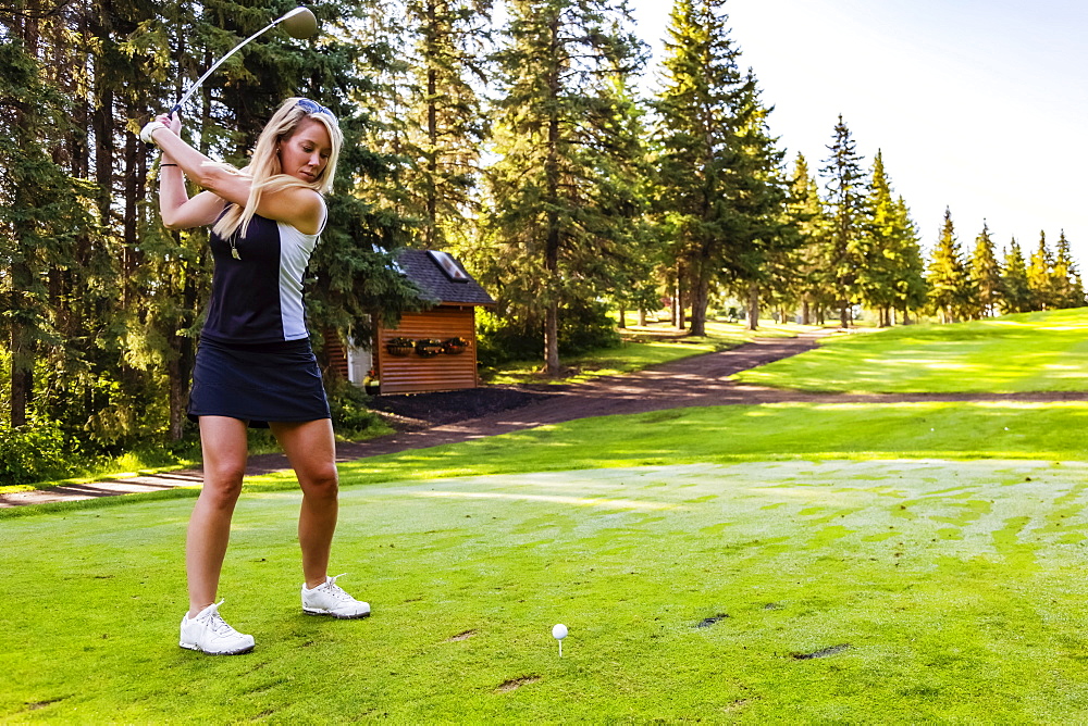 A female golfer at the top of her swing as she gets ready to hit the ball after setting up her shot, Edmonton, Alberta, Canada